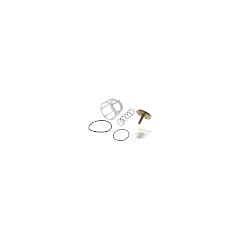 WATTS 1 1/4-2 SECOND CHECK KIT