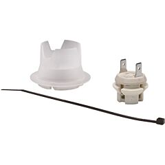 RHEEM SP20172 FLAME SENSOR KIT
