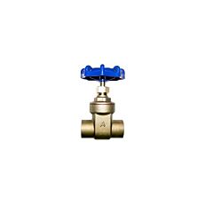 1"" IMPORT CXC COP GATE VALVE LF