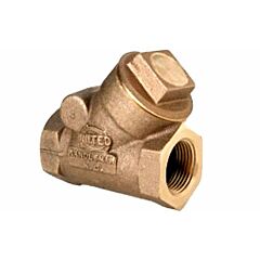 3/4" IP HEAVY WYE CHECK VALVE