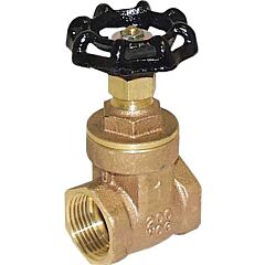 2 1/2" IP GATE VALVE