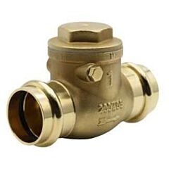 2 SWING CHECK VALVE PROPRESS