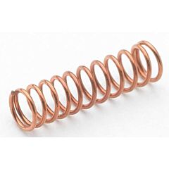 Spring For Eterna Cartridge With Spring Checks