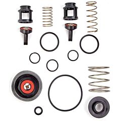 WATTS 919 1/2 TOTAL REPAIR KIT