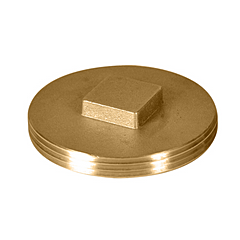 2 1/2" BRASS CLEANOUT PLUG 