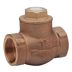 2-1/2" IP CHECK VALVE